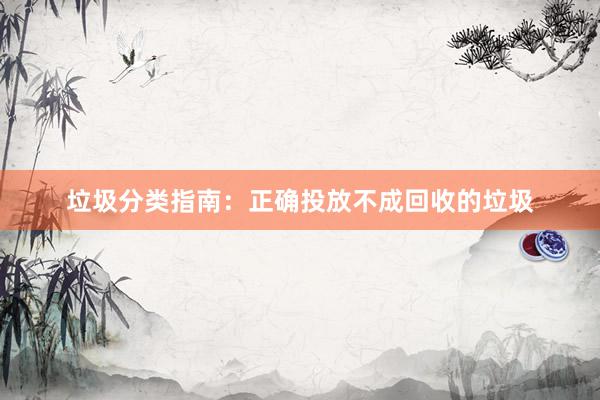 垃圾分类指南：正确投放不成回收的垃圾